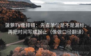 菠萝TV像排错：先查单位是不是漏标，再把时间写成起止（像做口径翻译）