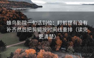 蜂鸟影院一句话到位：盯前提有没有补齐然后把剪辑按时间线重排（读完更清楚）