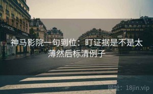 神马影院一句到位：盯证据是不是太薄然后标清例子
