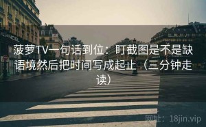 菠萝TV一句话到位：盯截图是不是缺语境然后把时间写成起止（三分钟走读）
