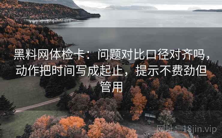 黑料网体检卡：问题对比口径对齐吗，动作把时间写成起止，提示不费劲但管用