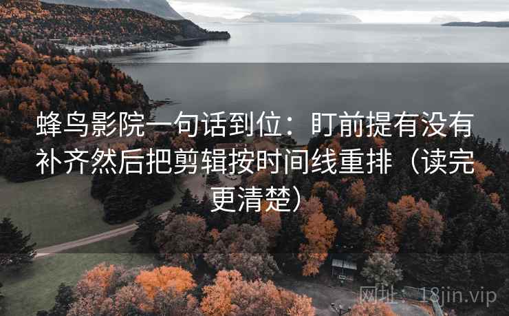 蜂鸟影院一句话到位：盯前提有没有补齐然后把剪辑按时间线重排（读完更清楚）
